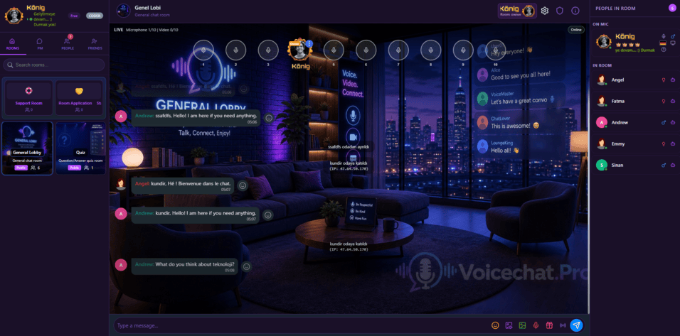 Voice-Chat-Hosting-Abbildung